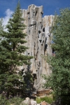 RMCAC201229