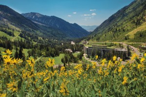 Snowbird_CliffLodge_Summer_D